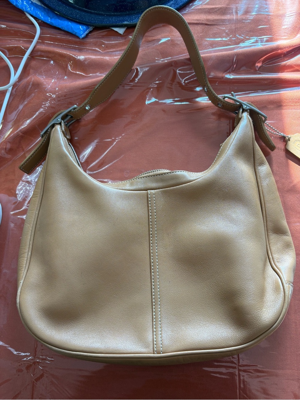 COACH Zoe Hobo Bag